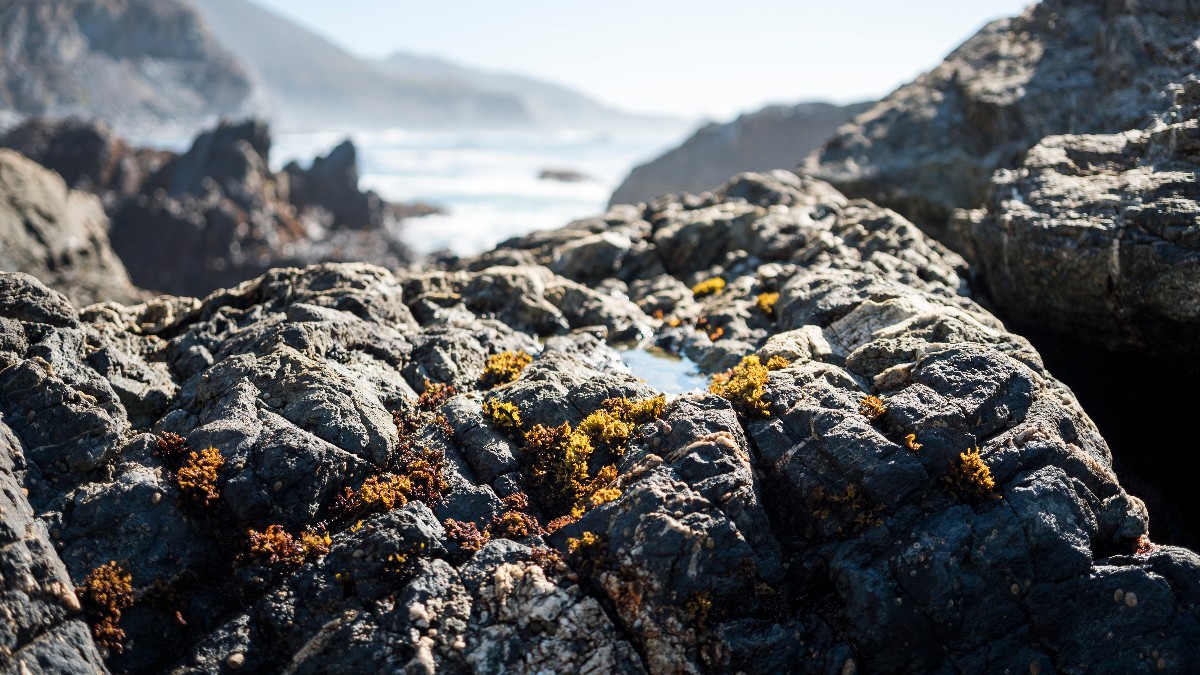 Rock formation at Big Sur