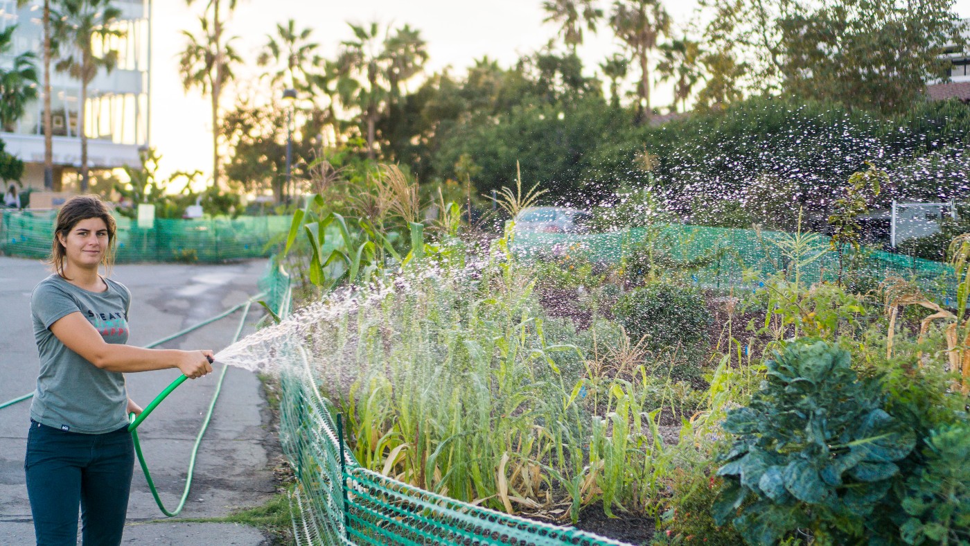 Student watering plants